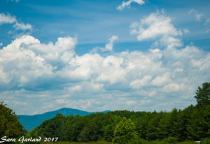 Looking back towards North Carolina from South Carolina. I saw all kinds of geographical changes on my drive that day.